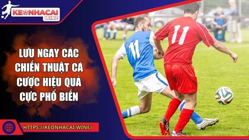 Lưu ngay các chiến thuật cá cược hiệu quả cực phổ biến
