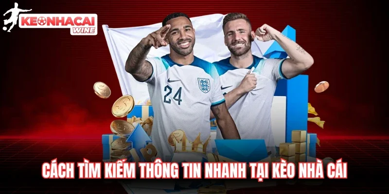 Cách tìm kiếm thông tin nhanh tại Kèo Nhà Cái